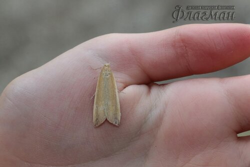 Берег весёлых Робинзонов 2017